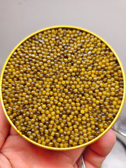 Chinese Golden Osetra Caviar