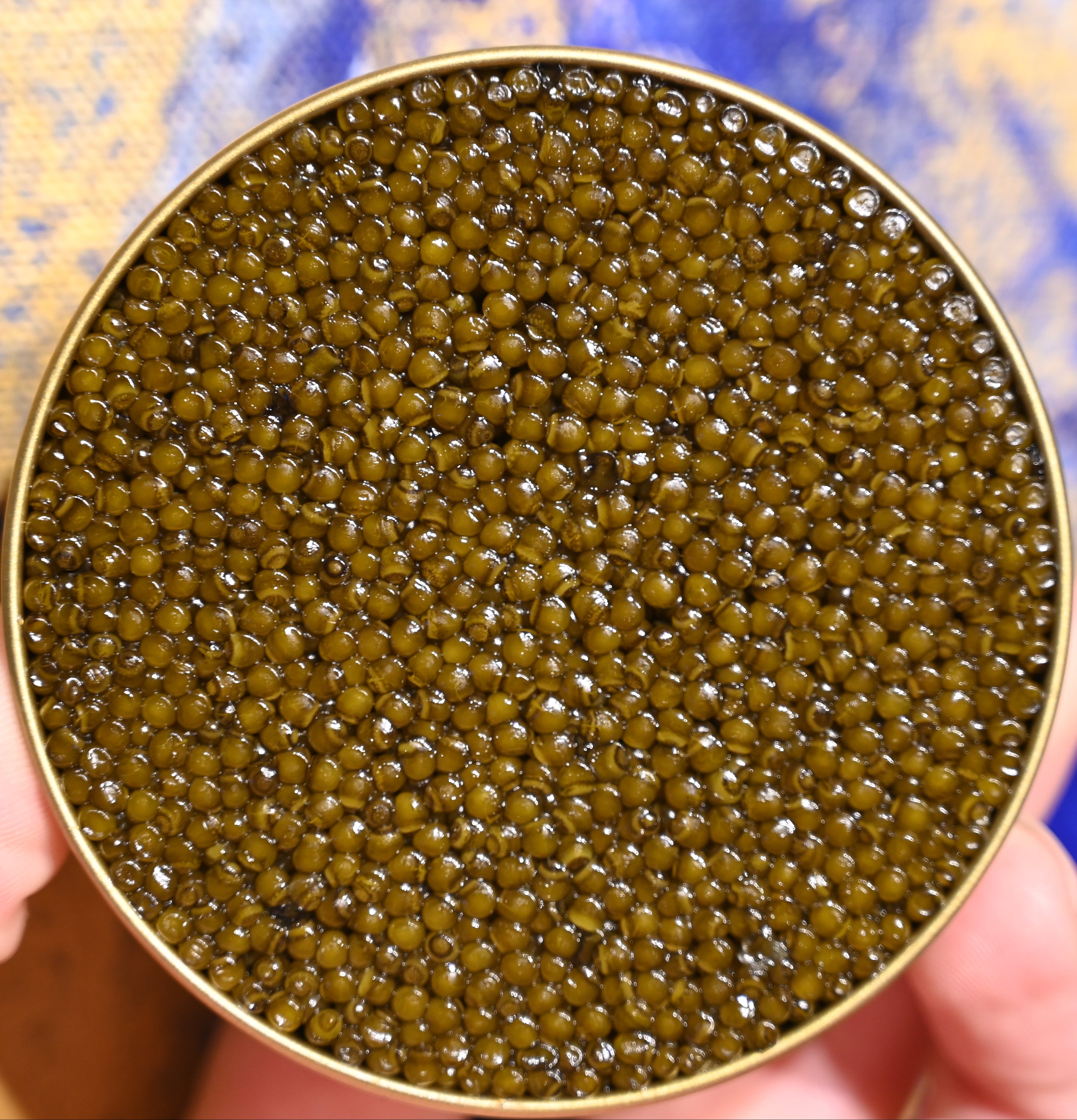 Iranian Baluga Caviar