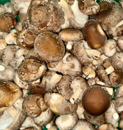 Shiitake Mushrooms