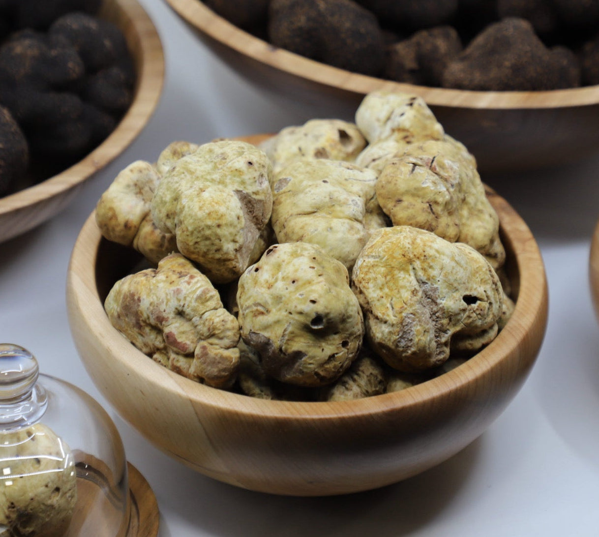 European White Truffles